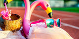 FLAMINGOS ON A BOOZE CRUISE